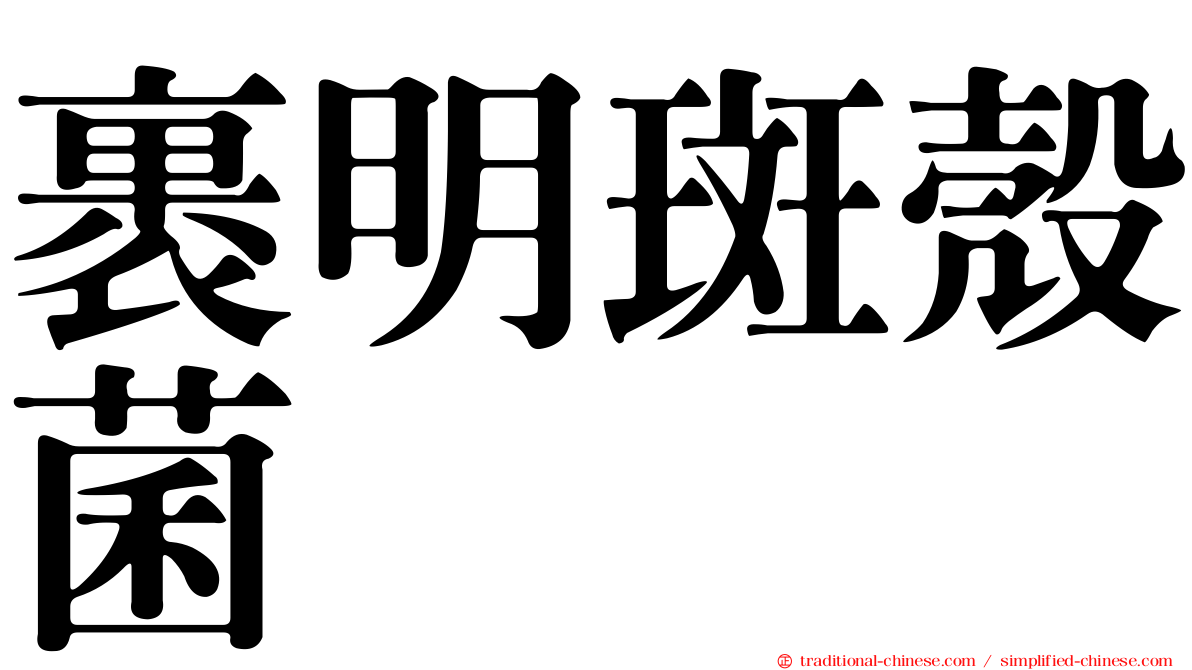 裹明斑殼菌