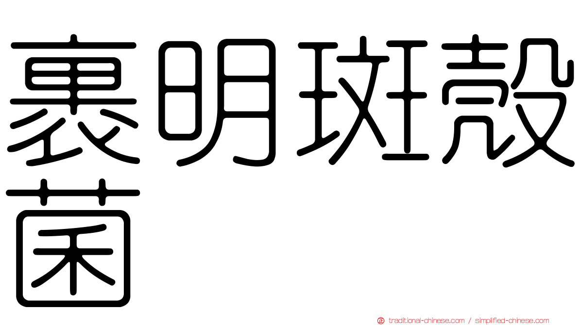 裹明斑殼菌