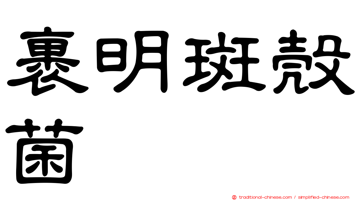 裹明斑殼菌