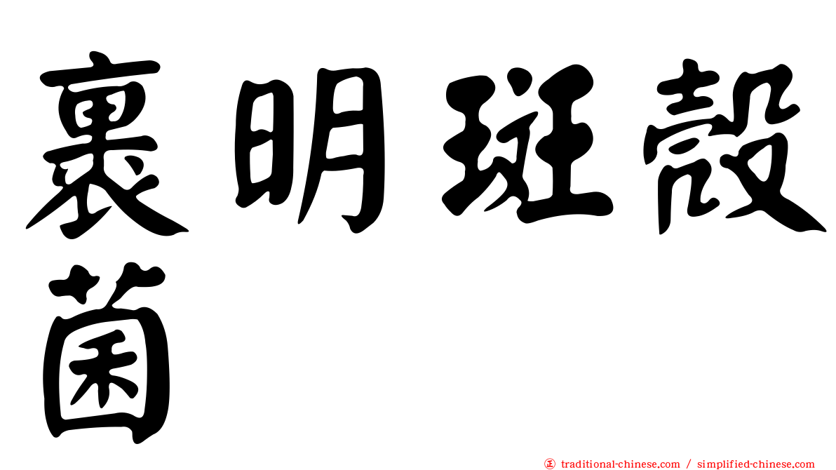 裹明斑殼菌