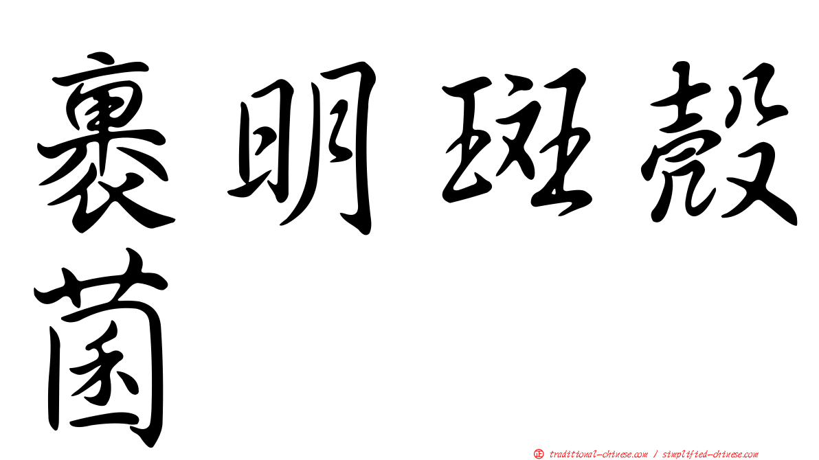 裹明斑殼菌