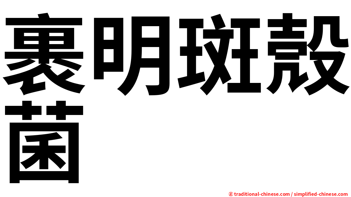 裹明斑殼菌