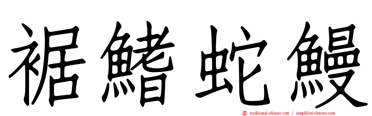 裾鰭蛇鰻