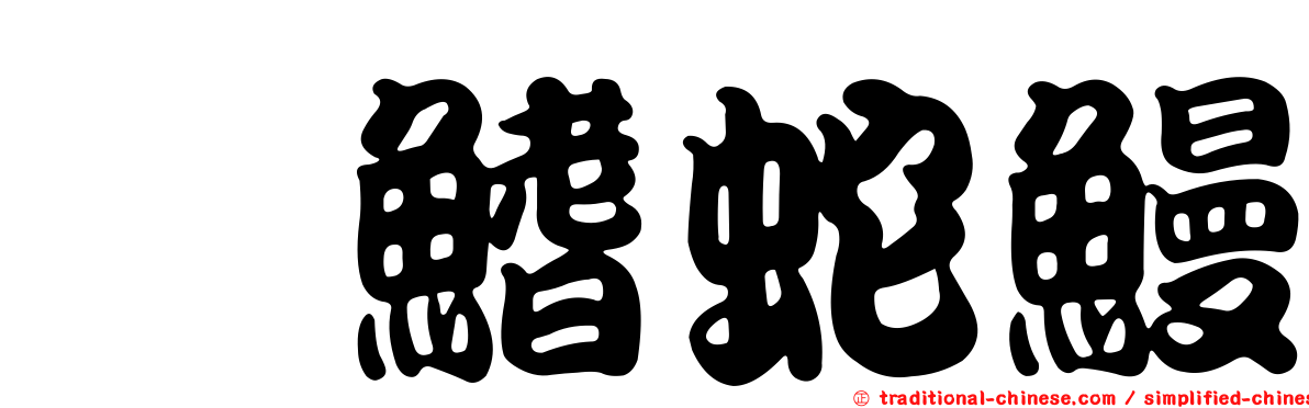 裾鰭蛇鰻