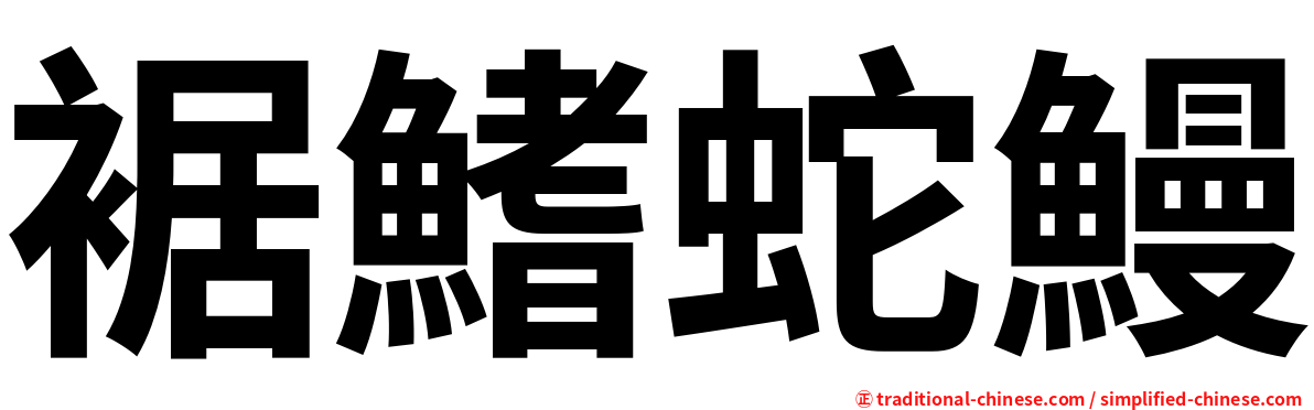 裾鰭蛇鰻