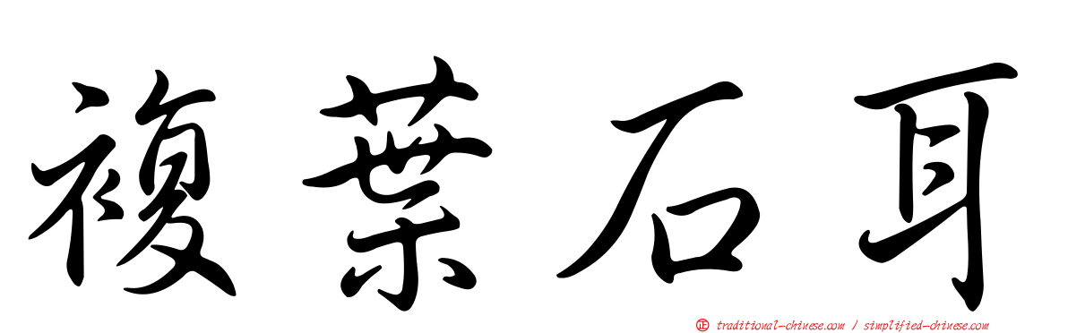 複葉石耳