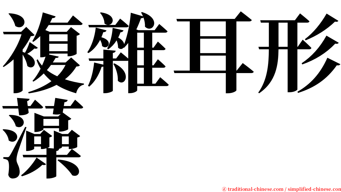 複雜耳形藻 serif font