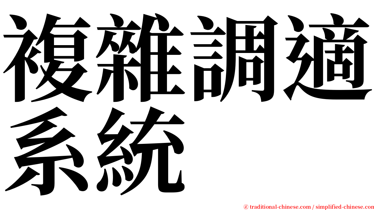 複雜調適系統 serif font