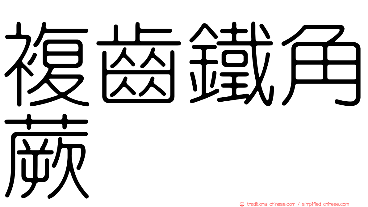 複齒鐵角蕨