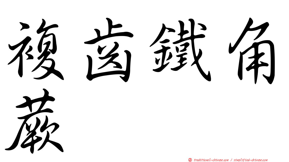 複齒鐵角蕨