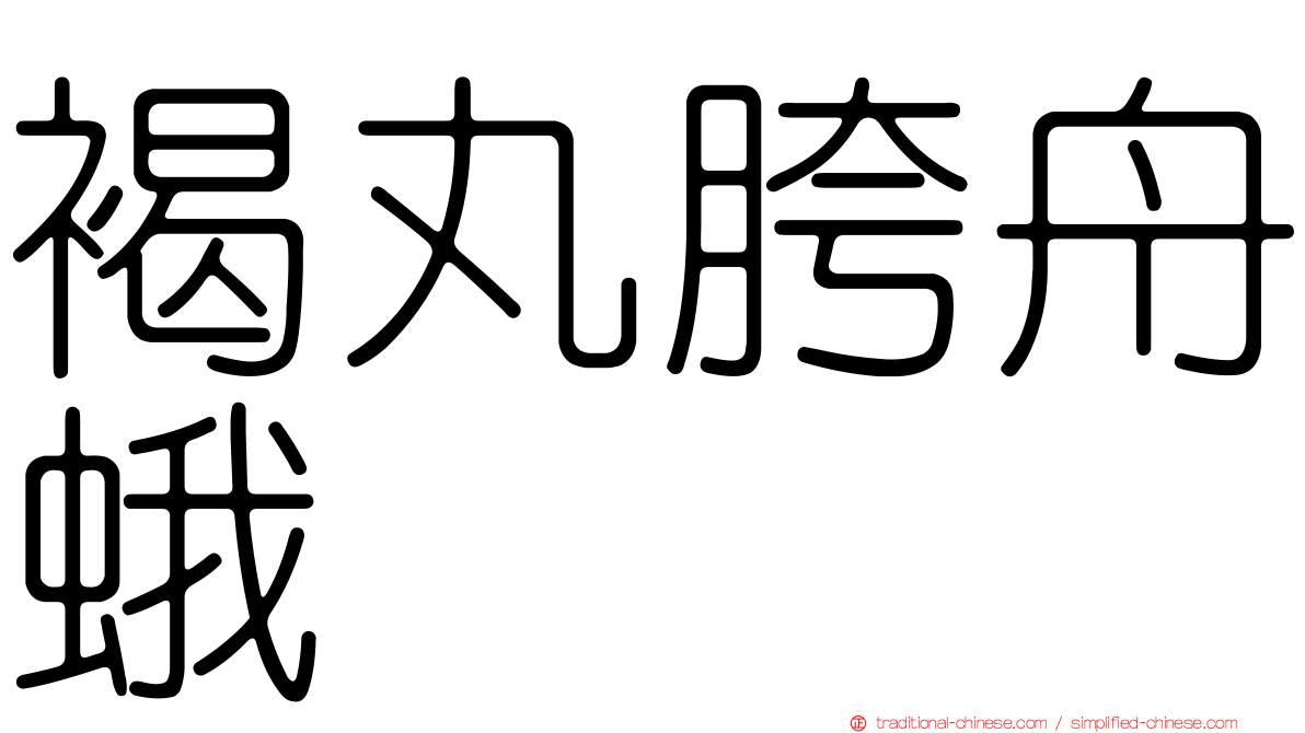 褐丸胯舟蛾