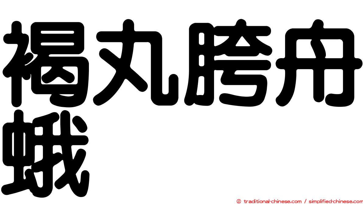 褐丸胯舟蛾