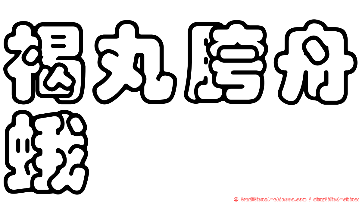 褐丸胯舟蛾