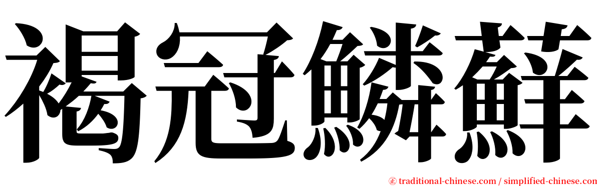 褐冠鱗蘚 serif font