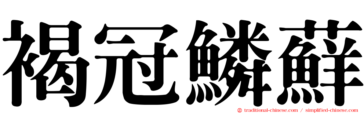 褐冠鱗蘚