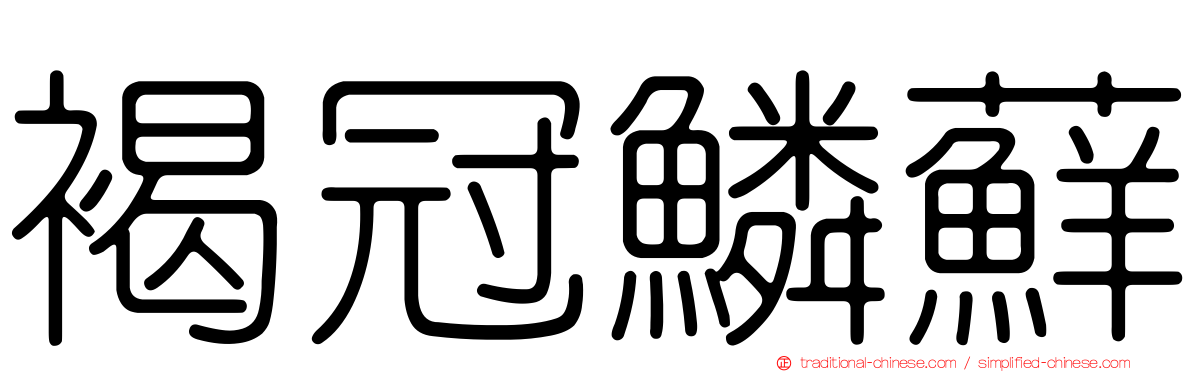 褐冠鱗蘚