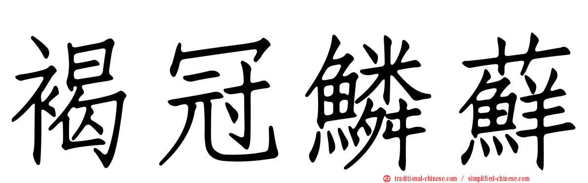 褐冠鱗蘚