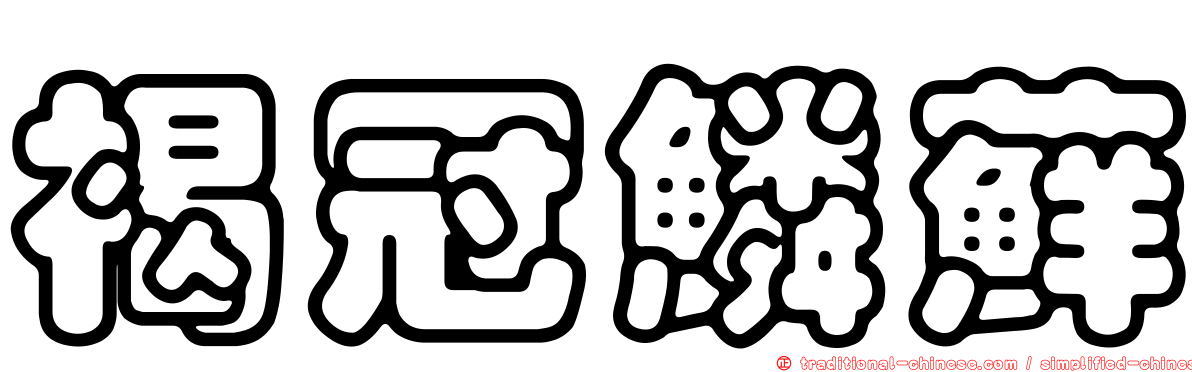 褐冠鱗蘚