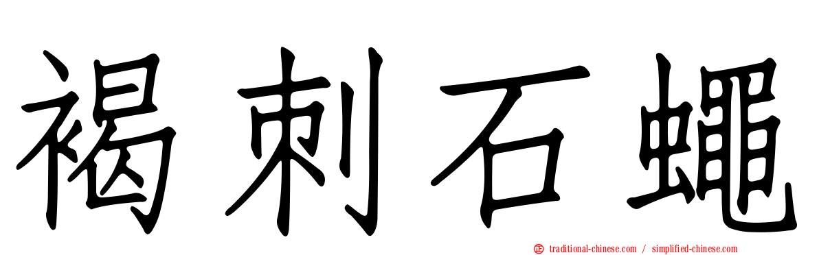 褐刺石蠅