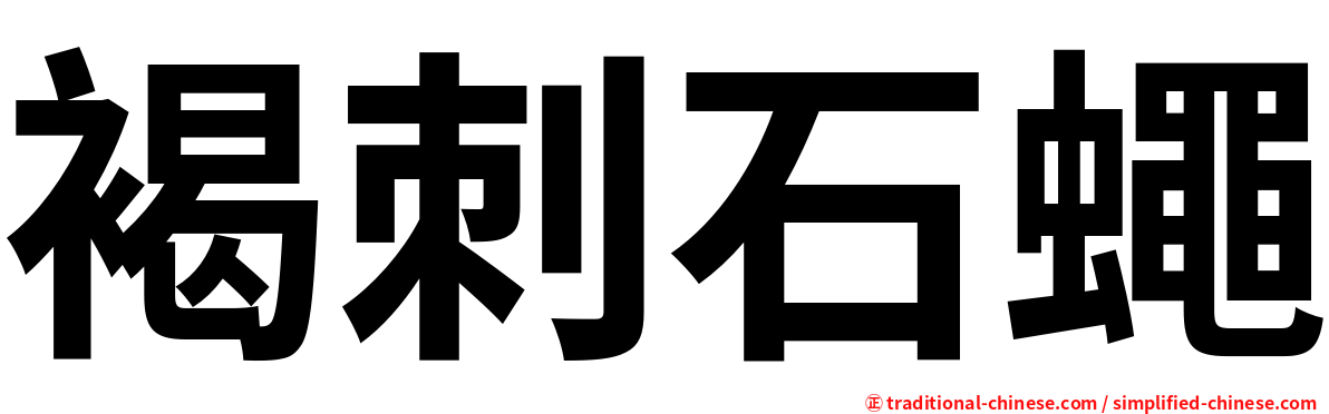 褐刺石蠅