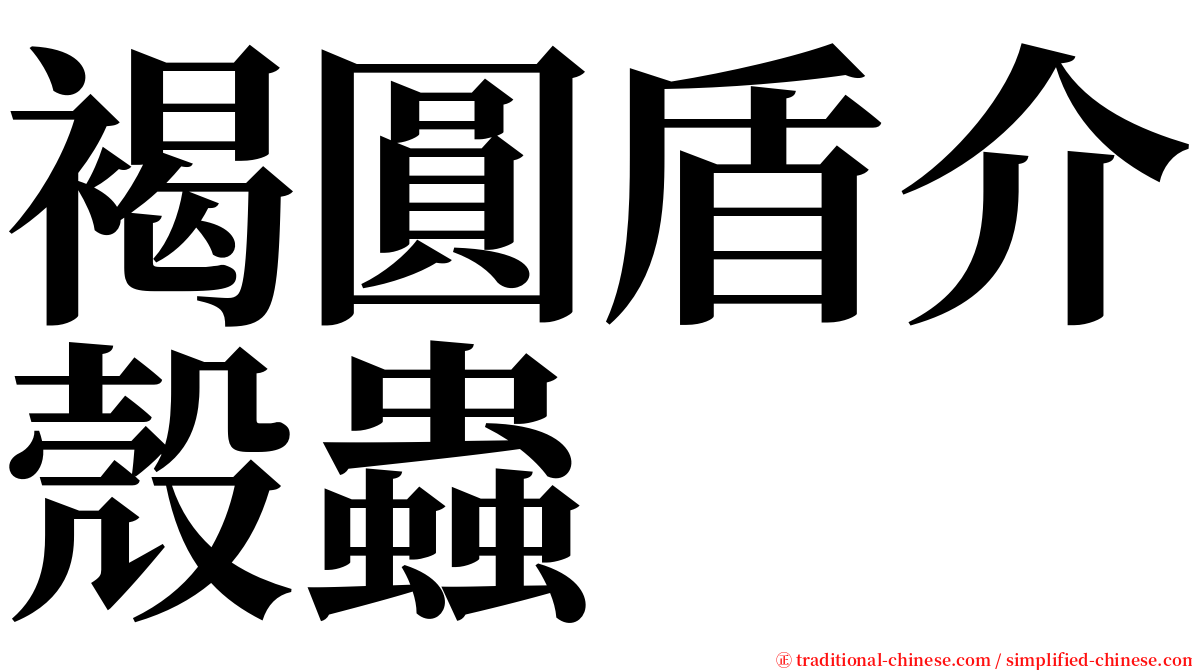 褐圓盾介殼蟲 serif font