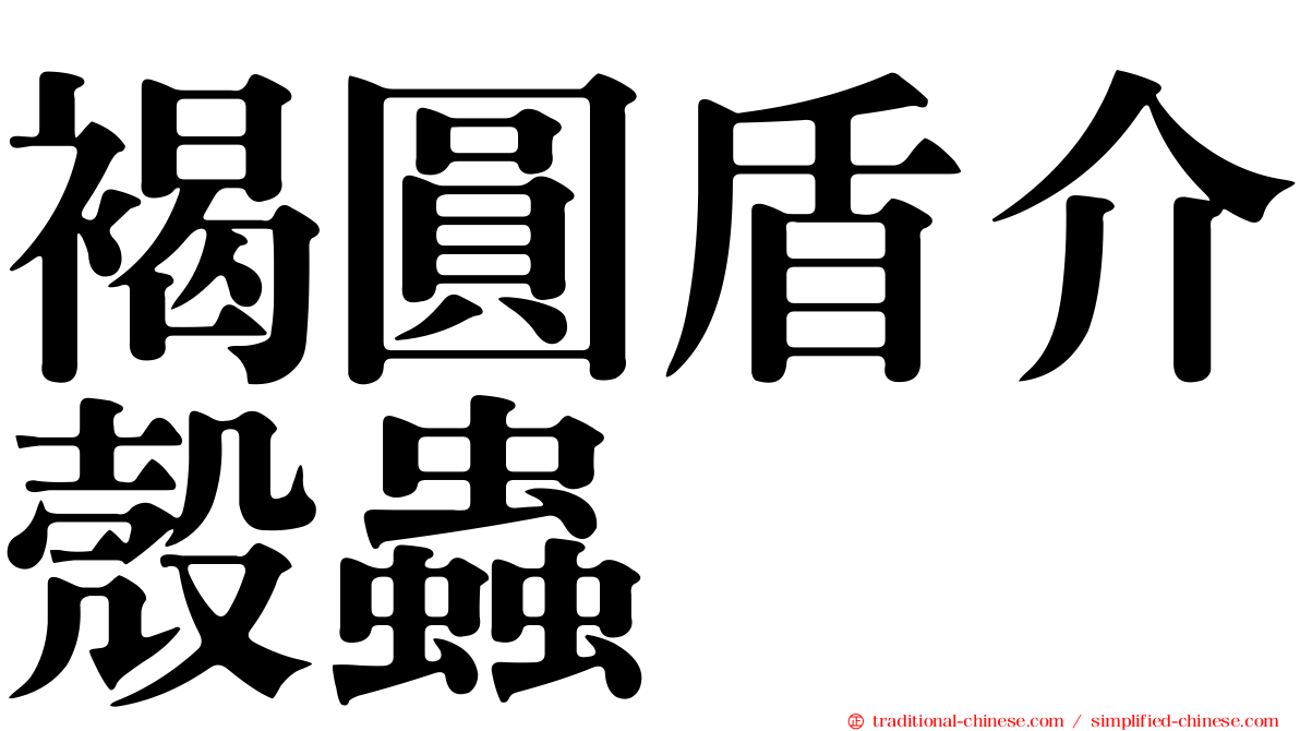 褐圓盾介殼蟲