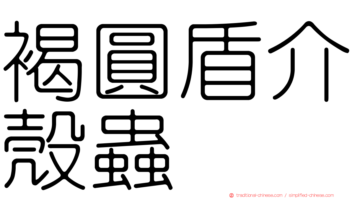 褐圓盾介殼蟲