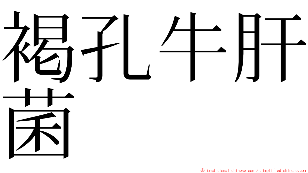 褐孔牛肝菌 ming font