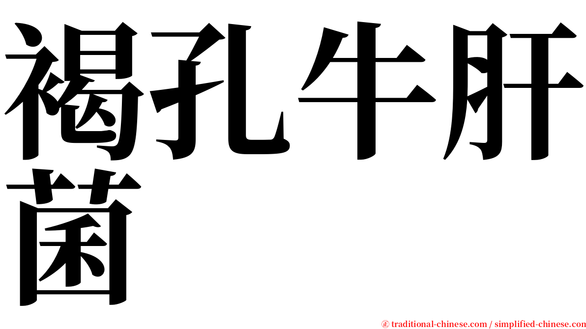 褐孔牛肝菌 serif font