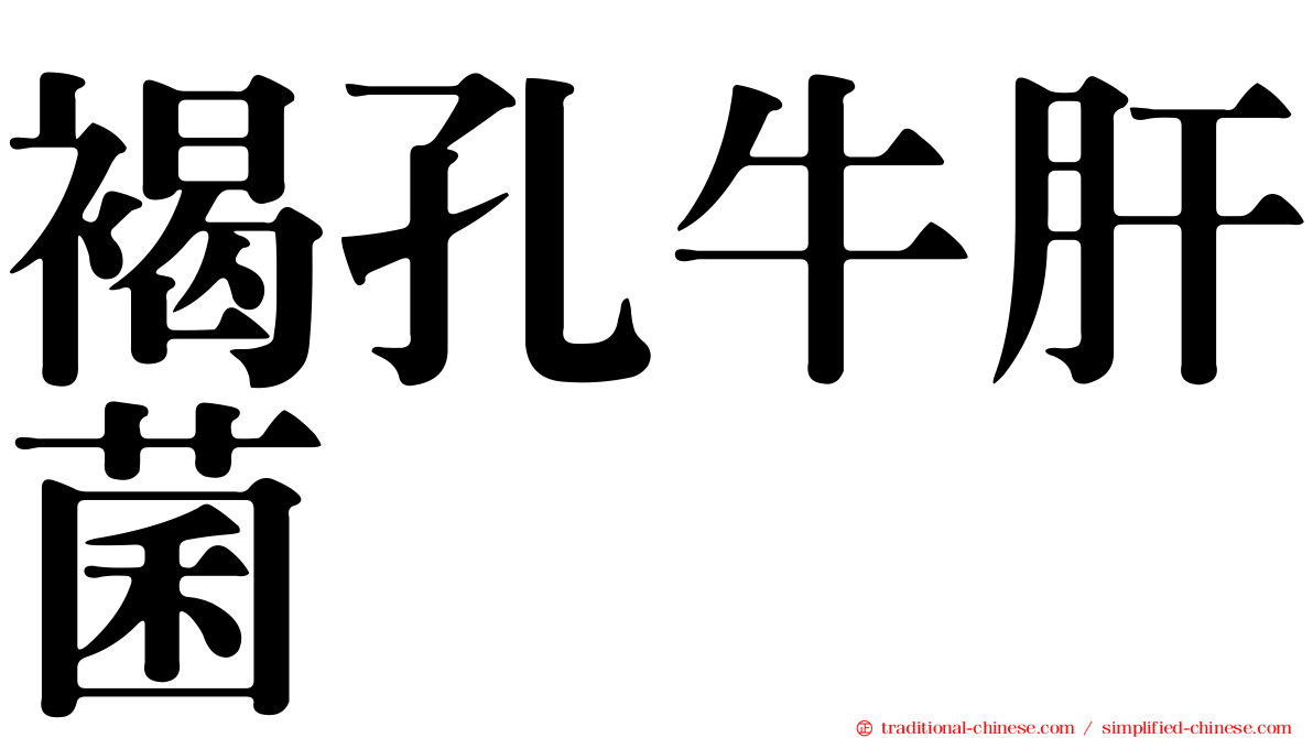 褐孔牛肝菌