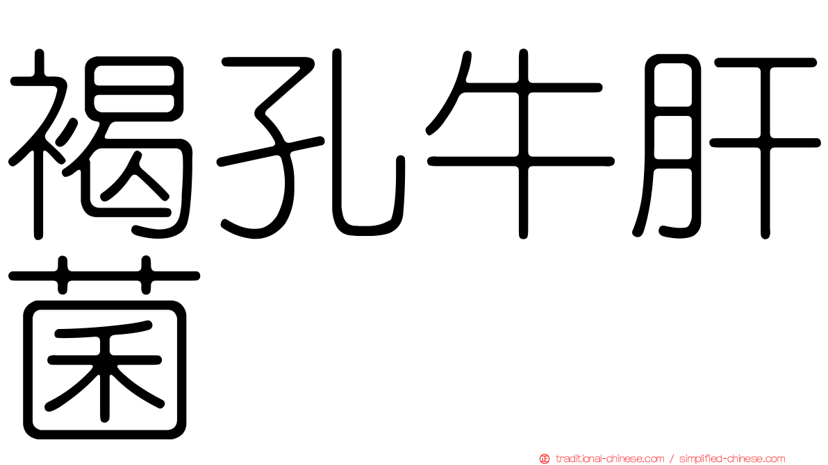 褐孔牛肝菌
