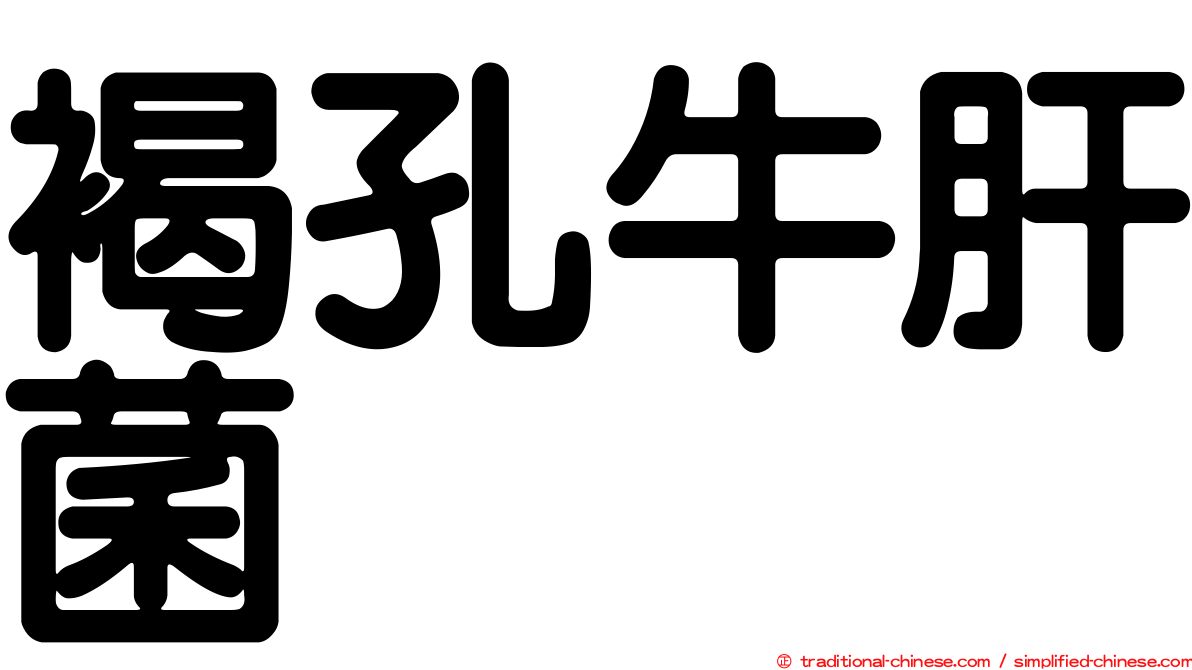 褐孔牛肝菌