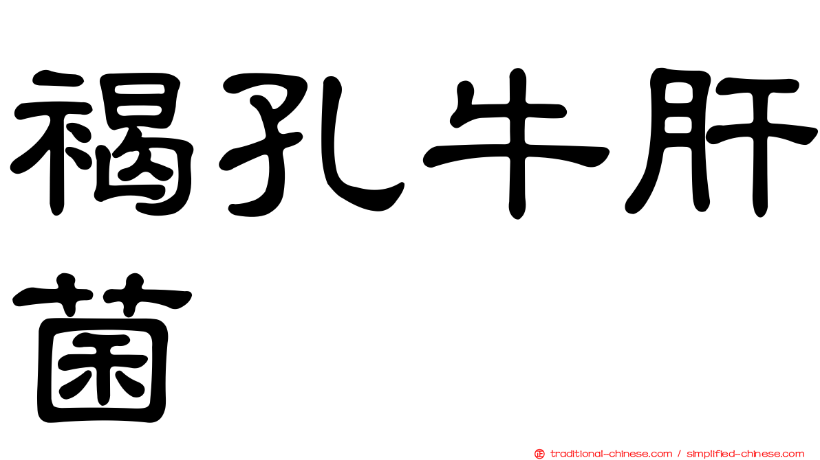 褐孔牛肝菌
