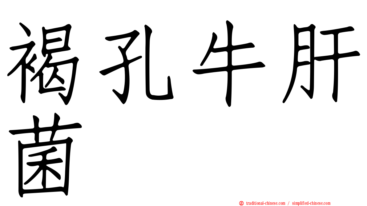 褐孔牛肝菌