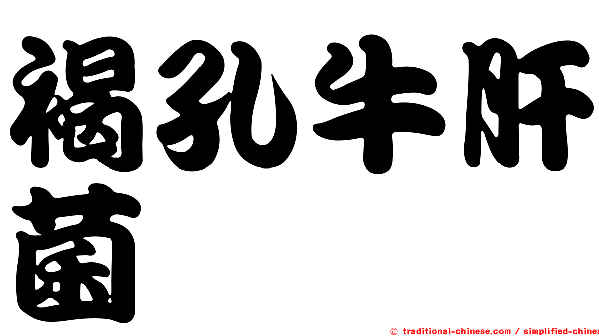 褐孔牛肝菌