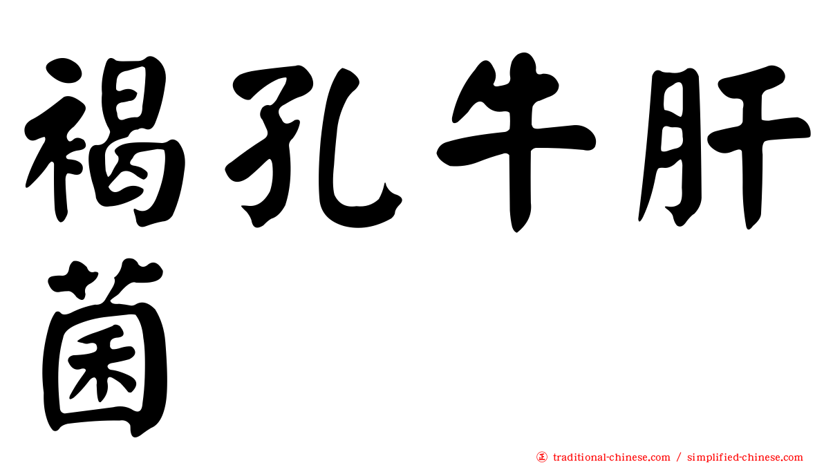 褐孔牛肝菌