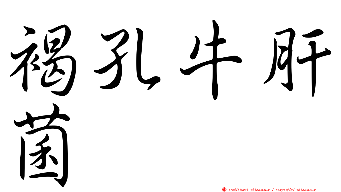 褐孔牛肝菌