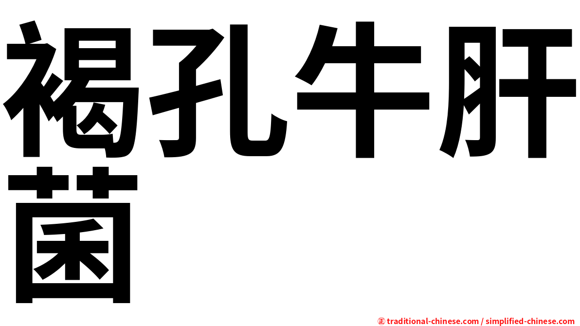 褐孔牛肝菌