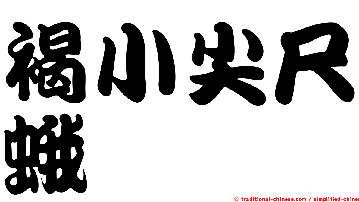 褐小尖尺蛾