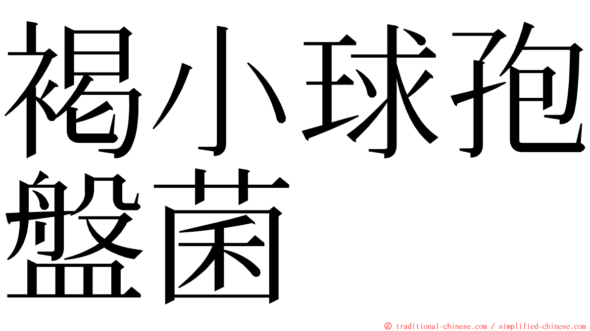 褐小球孢盤菌 ming font