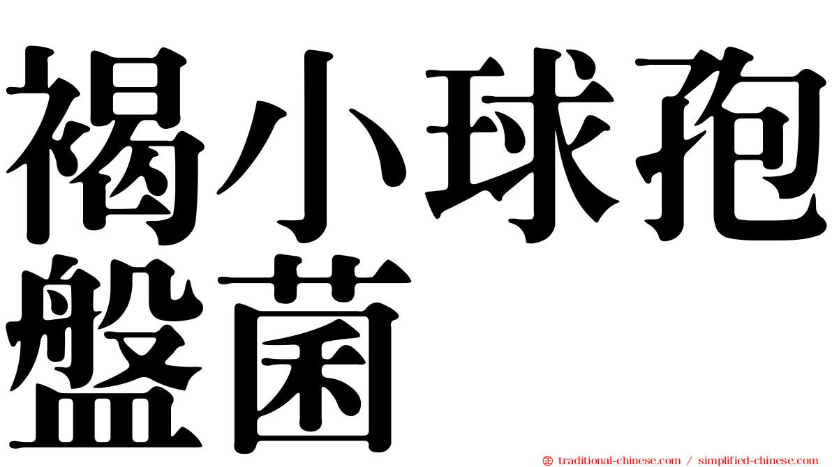 褐小球孢盤菌