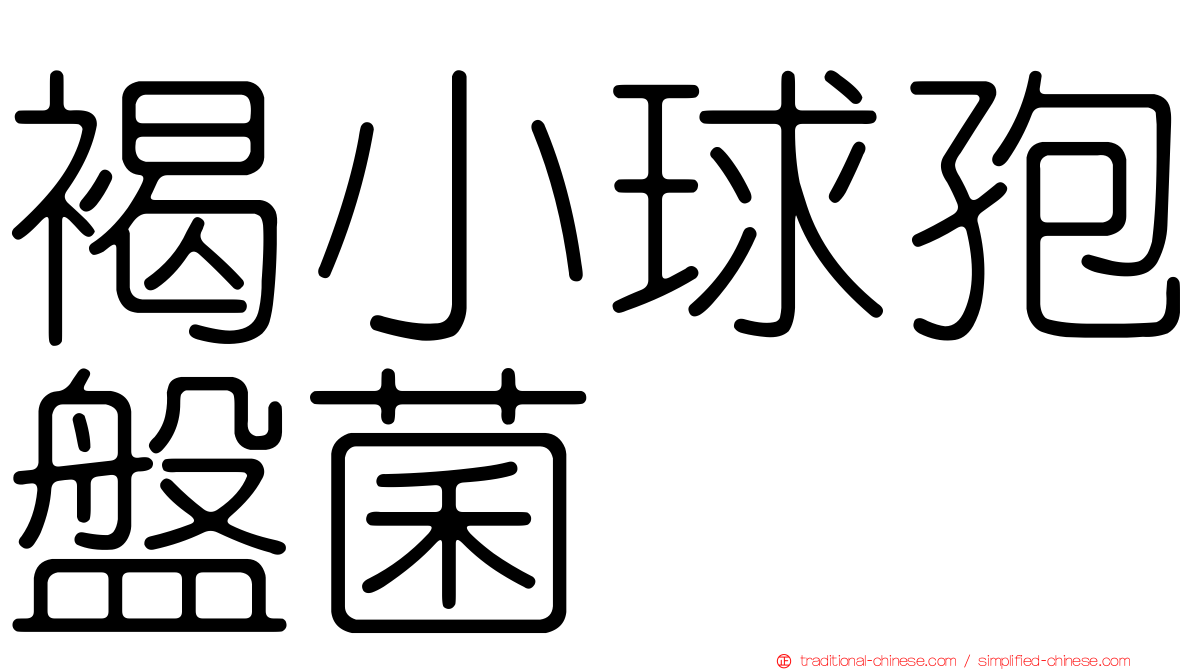 褐小球孢盤菌