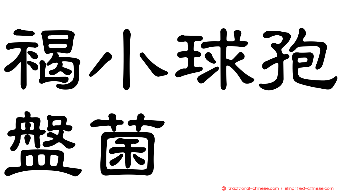 褐小球孢盤菌