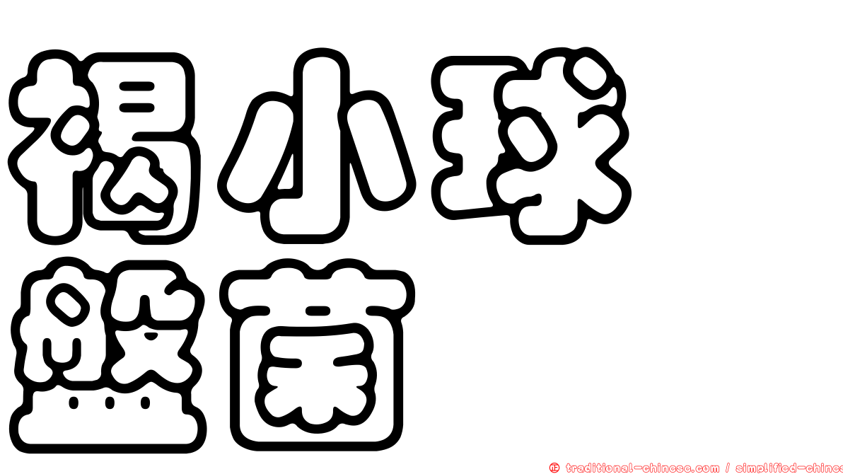 褐小球孢盤菌