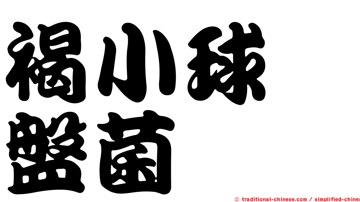 褐小球孢盤菌