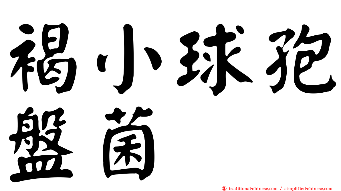 褐小球孢盤菌