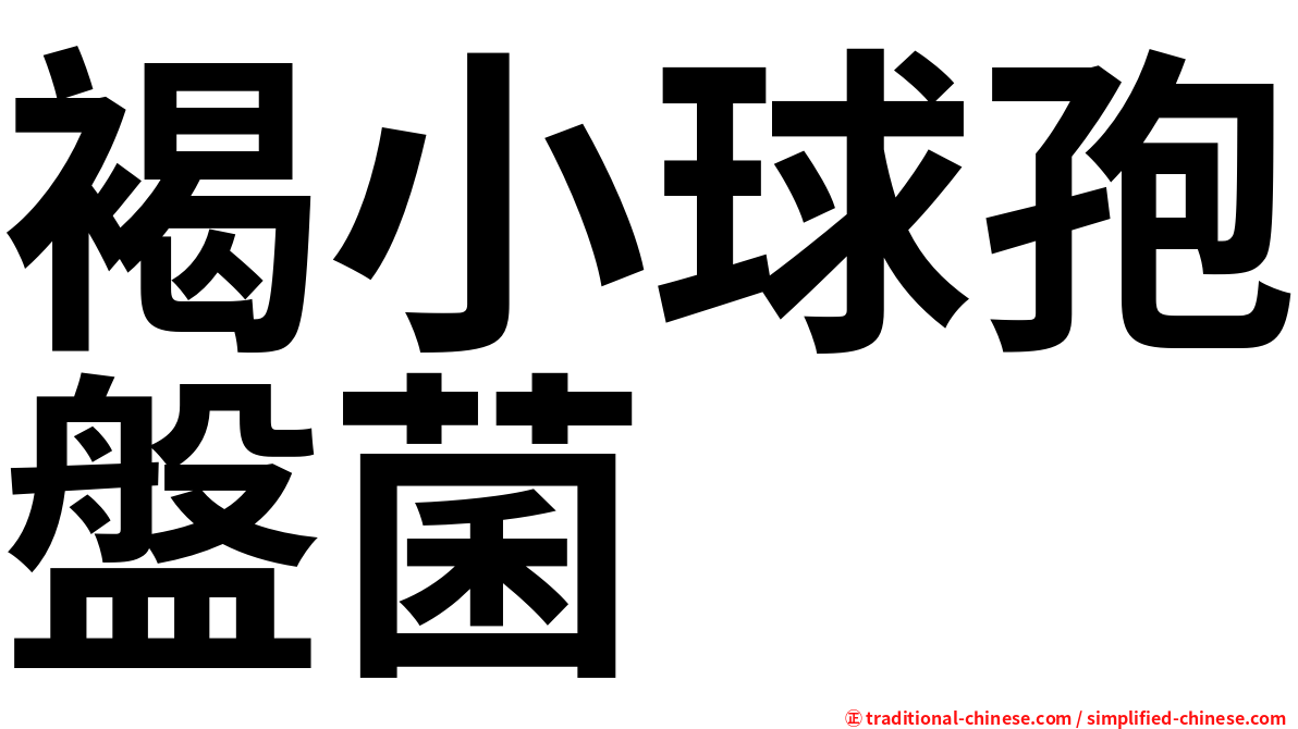 褐小球孢盤菌
