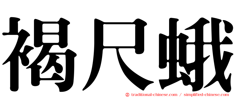 褐尺蛾