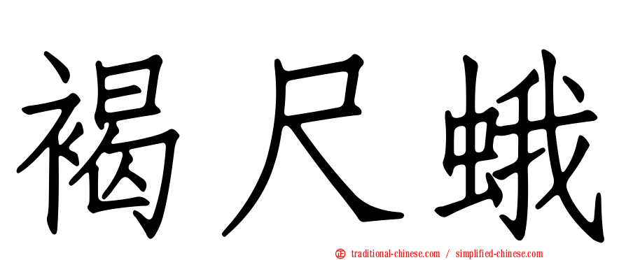褐尺蛾