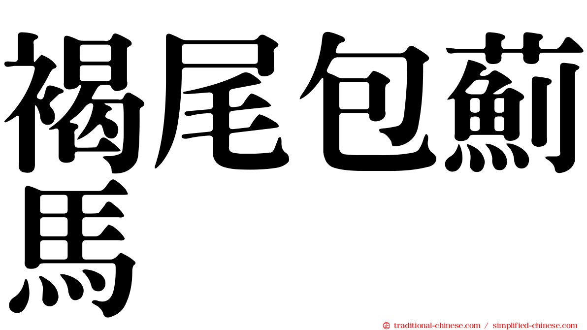 褐尾包薊馬